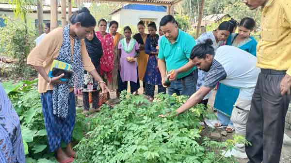 Community members learning organic farming methods in a vegetable field
